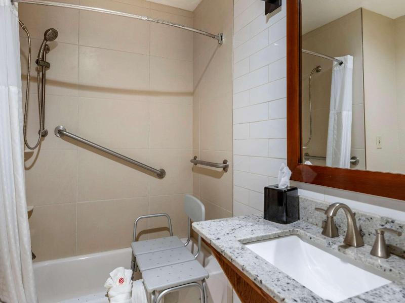 Comfort Suites University image