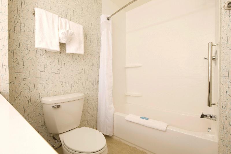 Holiday Inn Express and Suites Rochester Hills Det image