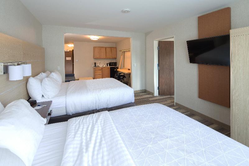 Holiday Inn Express and Suites Rochester Hills Det image