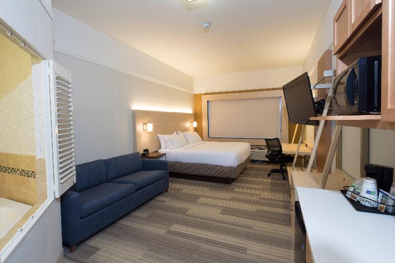Holiday Inn Express and Suites Rochester Hills Det image