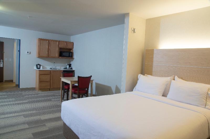 Holiday Inn Express and Suites Rochester Hills Det