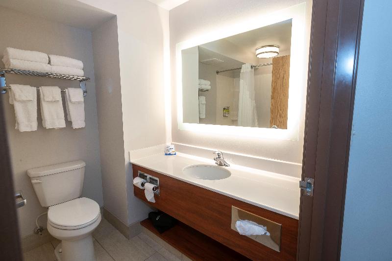 Holiday Inn Express and Suites Iron Mountain photo 24