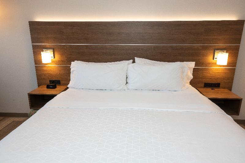 Holiday Inn Express and Suites Iron Mountain — photo 48