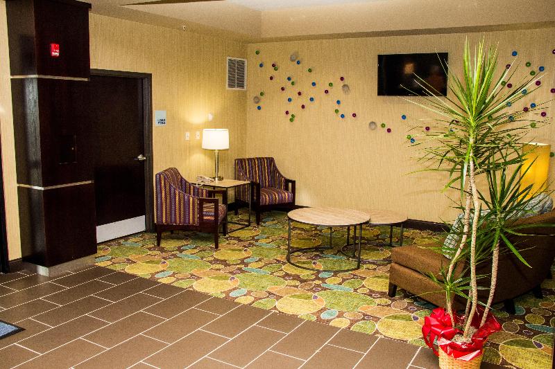 Holiday Inn Express & Suites Sikeston image