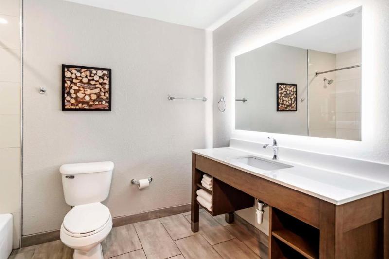 Best Western Plus Bourbonnais Hotel & Suites image