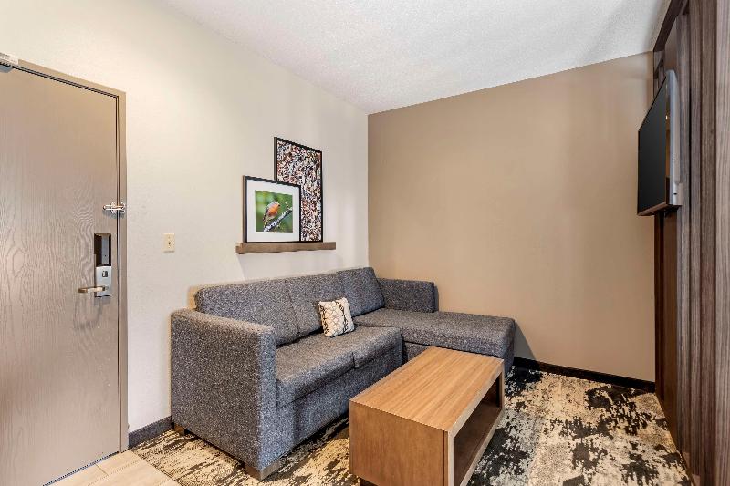 Best Western Plus Bourbonnais Hotel & Suites image
