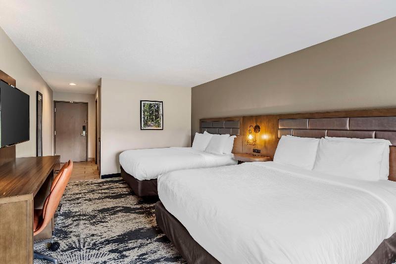 Best Western Plus Bourbonnais Hotel & Suites image