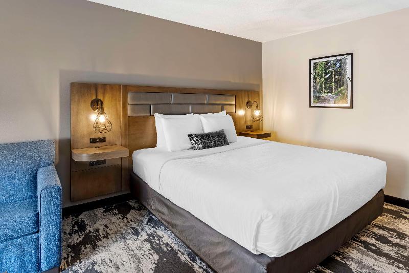Best Western Plus Bourbonnais Hotel & Suites image