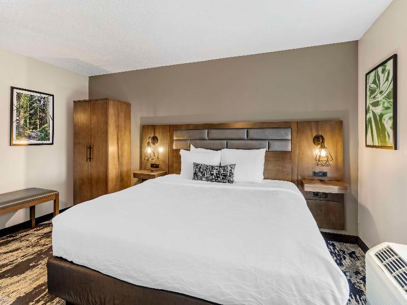 Best Western Plus Bourbonnais Hotel & Suites image