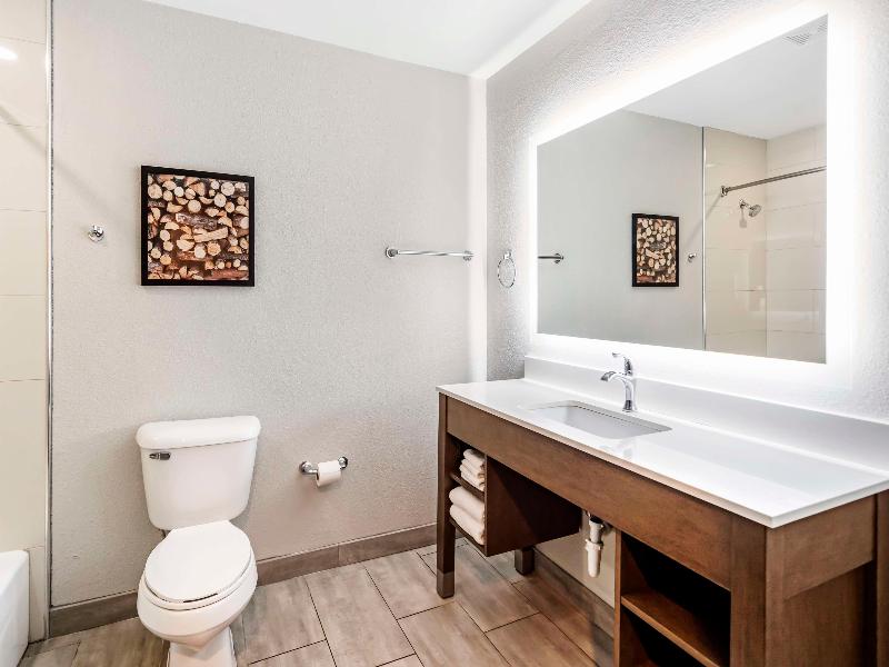 Best Western Plus Bourbonnais Hotel & Suites image