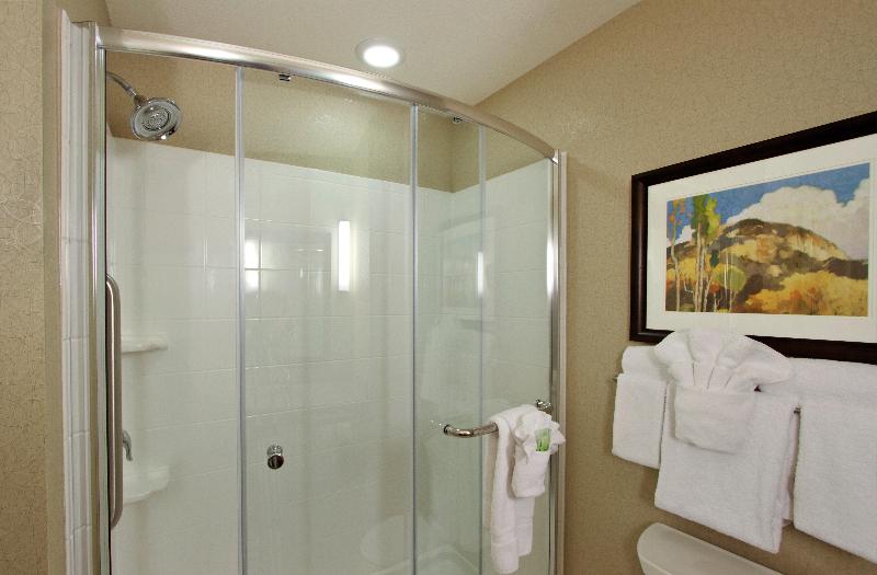 Holiday Inn Express and Suites Colorado Springs Fi image