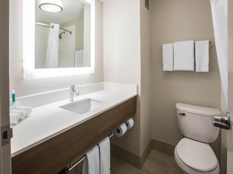 Holiday Inn Express & Suites Ludington By IHG image