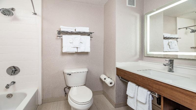Holiday Inn Express & Sts Fremont Milpitas Centra image