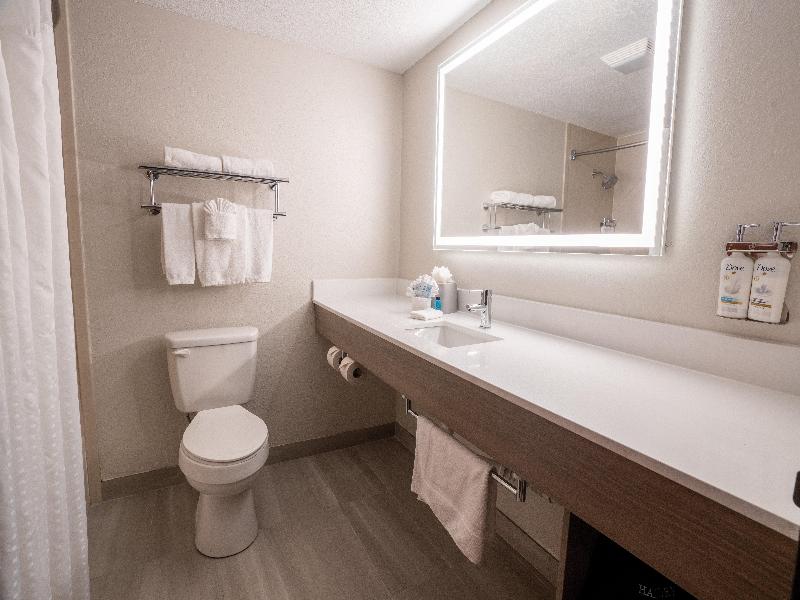 Holiday Inn Express Suites Orange City Deltona IHG image