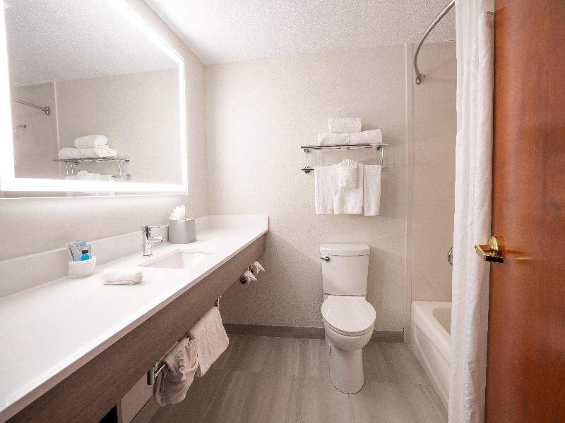 Holiday Inn Express Suites Orange City Deltona IHG image