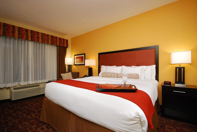 Holiday Inn Express and Suites Gonzales 5
