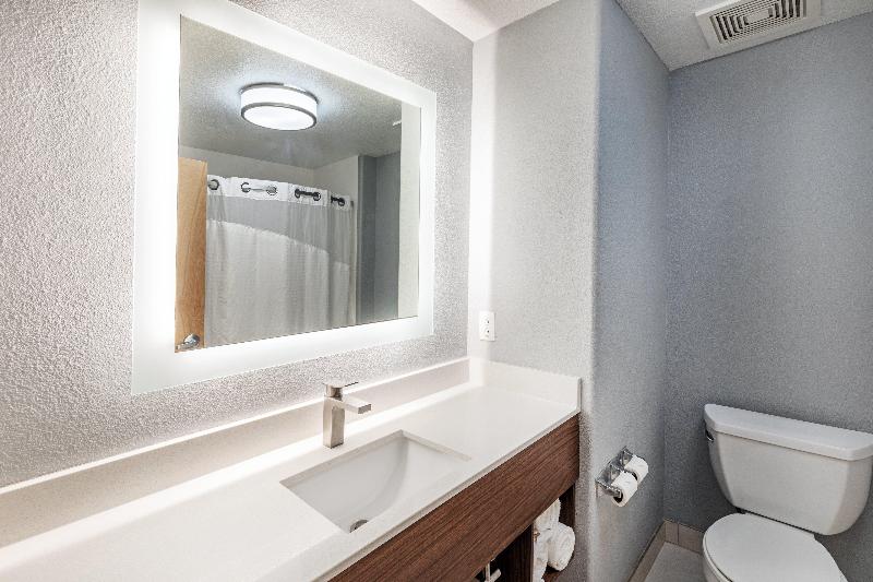 Holiday Inn Express & Suites Austin Ne - Hutto IHG image