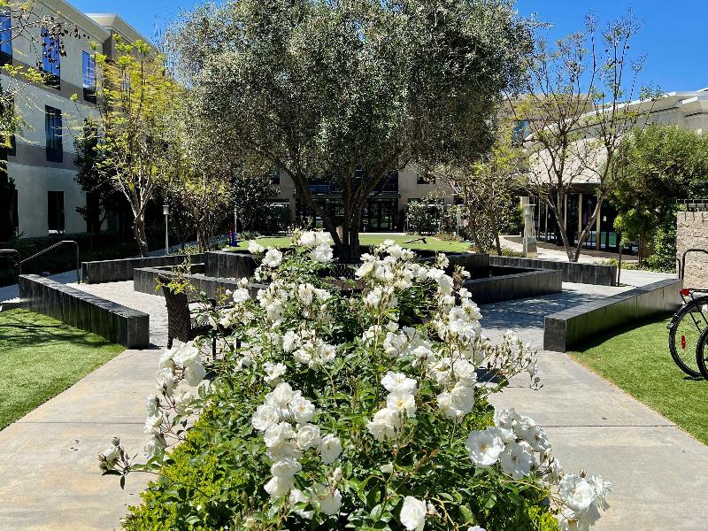 Holiday Inn Carlsbad - San Diego, an IHG Hotel