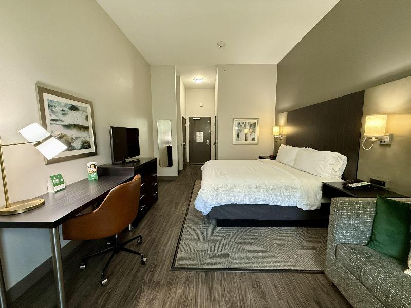 Holiday Inn Carlsbad - San Diego By IHG image