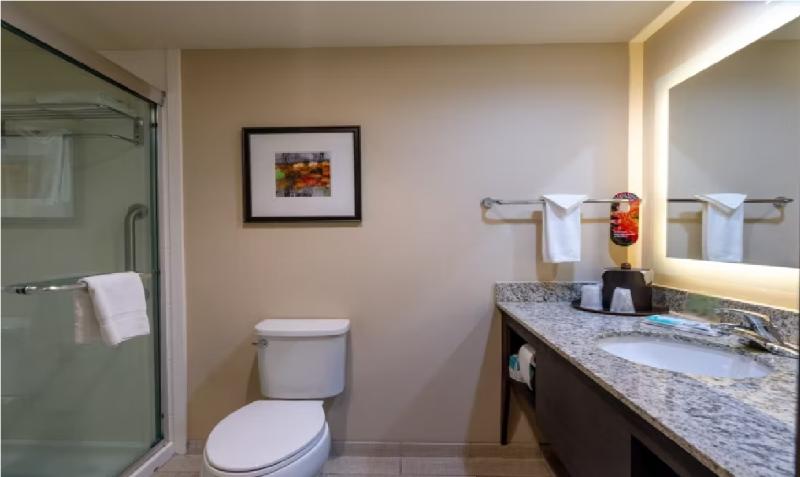 Holiday Inn Murfreesboro image