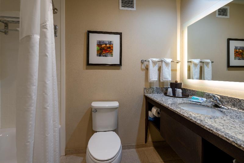 Holiday Inn Murfreesboro image