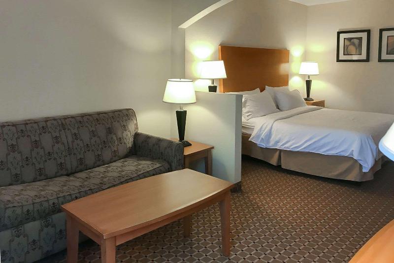 Hotel Comfort Inn & Suites Greer - Greenville