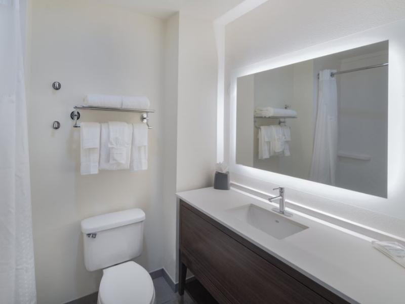 Holiday Inn Southaven Central Memphis image