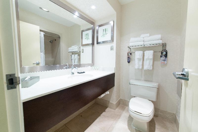 Holiday Inn & Suites Windsor (Ambassador Bridge) photo 23