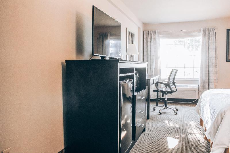 Lucille's Hotel image