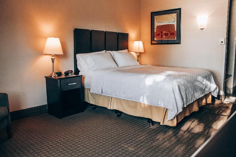 Lucille's Hotel image