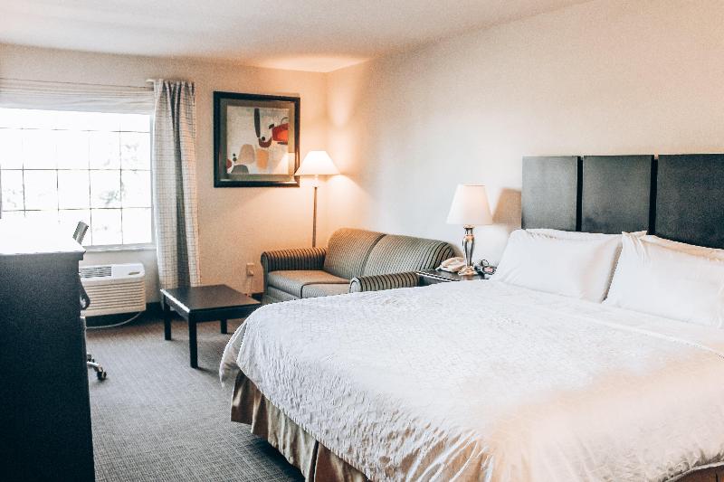 Lucille's Hotel image