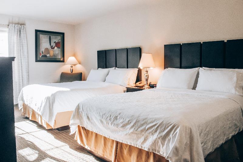 Lucille's Hotel image