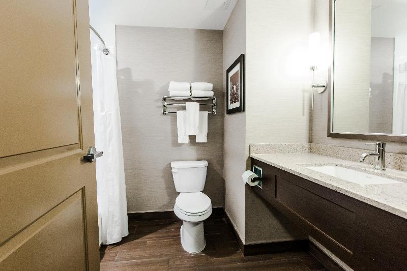 Holiday Inn Express and Suites Spruce Grove Stony image