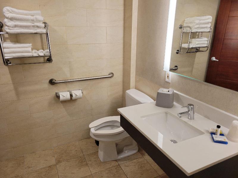 Holiday Inn Express Queens - Maspeth By IHG photo 21