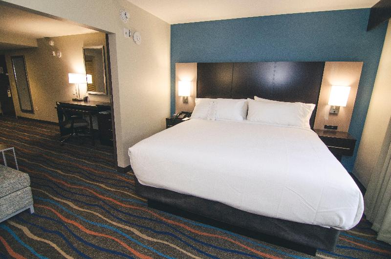 Holiday Inn Hotel and Suites Chattanooga Downtown