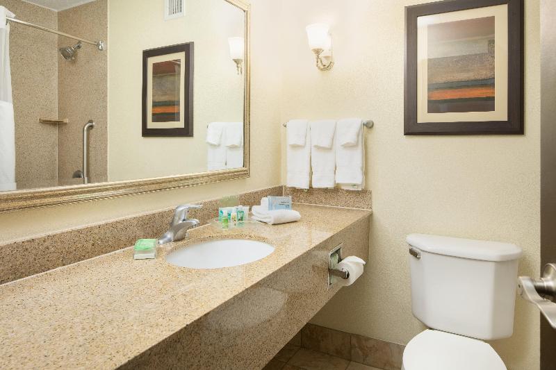 Holiday Inn & Suites Charleston West By IHG photo 16