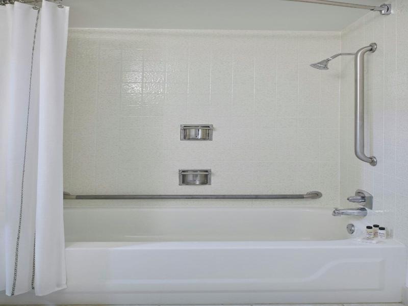 Delta Hotels by Marriott Detroit Novi image