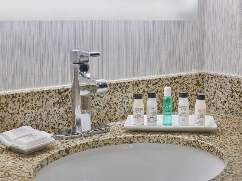 Delta Hotels by Marriott Detroit Novi image