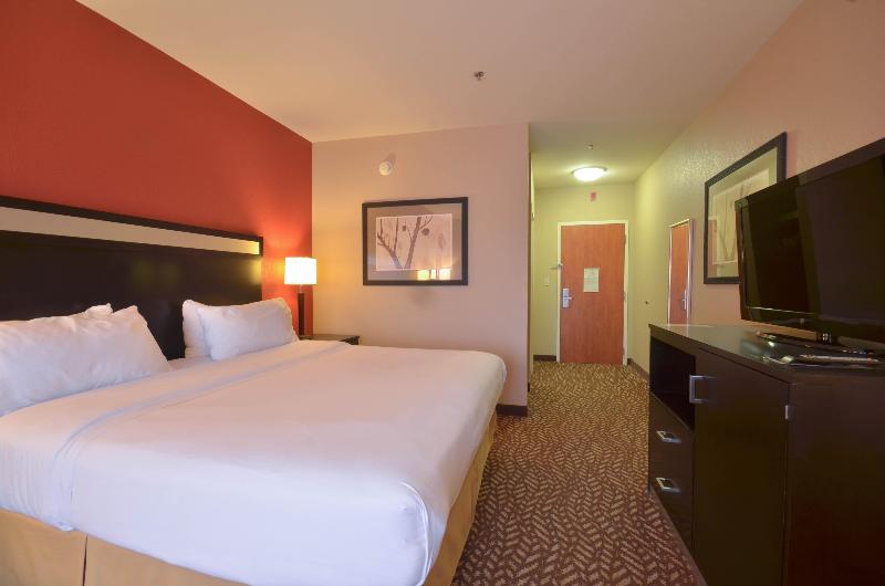 Holiday Inn Express and Suites Pine Bluff Pines Ma photo 13