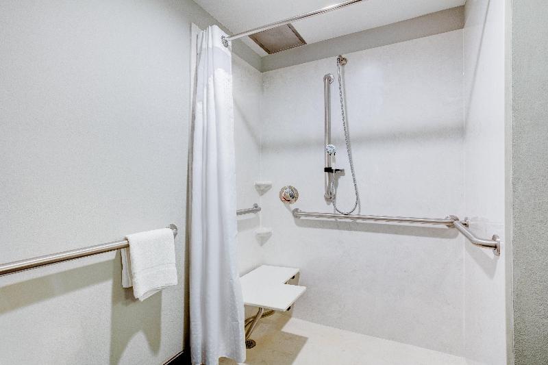 Holiday Inn Hotel and Suites Lafayette North image