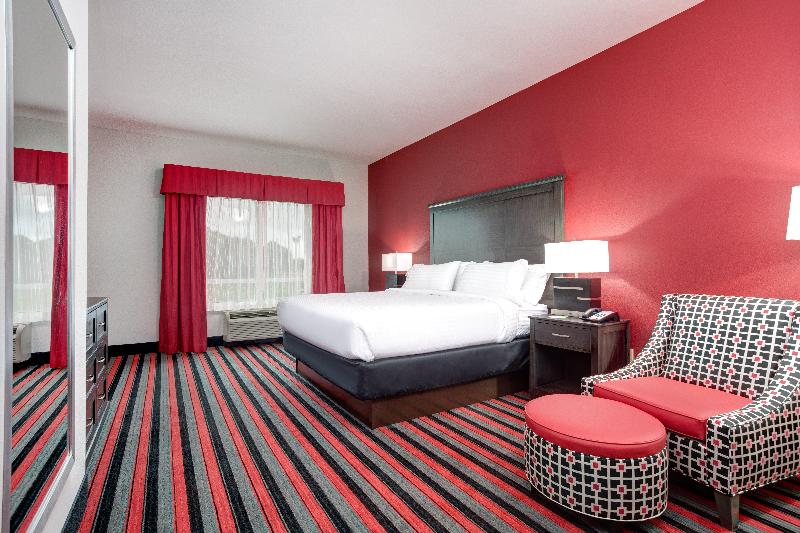 Holiday Inn Hotel and Suites Lafayette North image