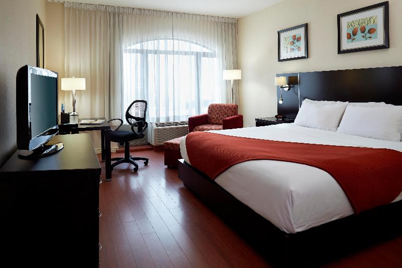 Holiday Inn Hotel and Suites Montreal Airport photo 20