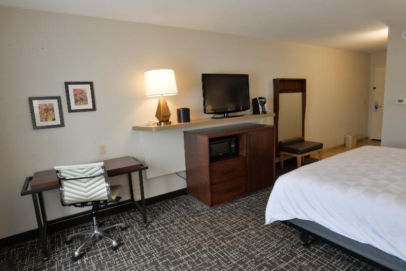 Holiday Inn Hotel and Suites Minneapolis Lakeville image