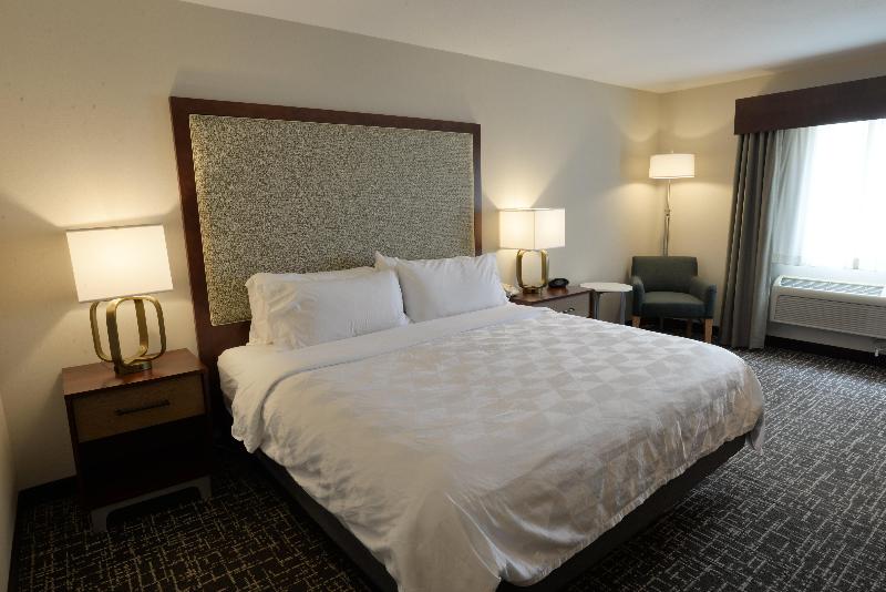 Holiday Inn Hotel and Suites Minneapolis Lakeville image