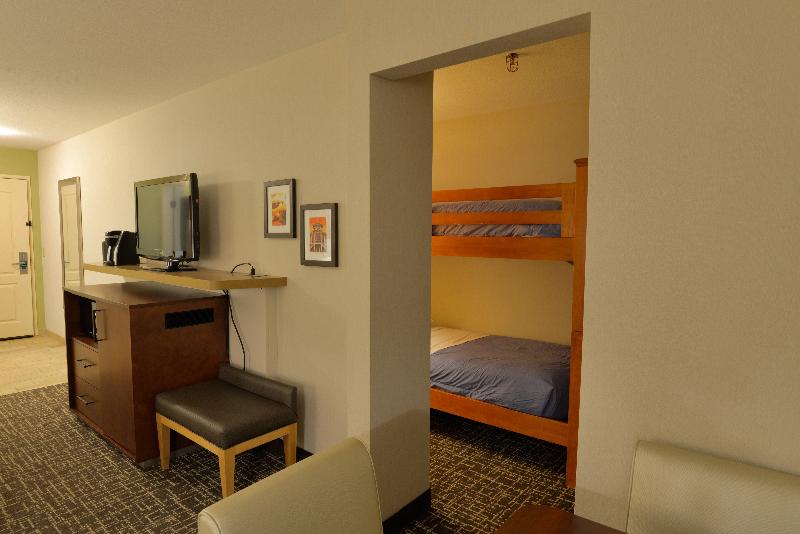 Holiday Inn Hotel and Suites Minneapolis Lakeville image