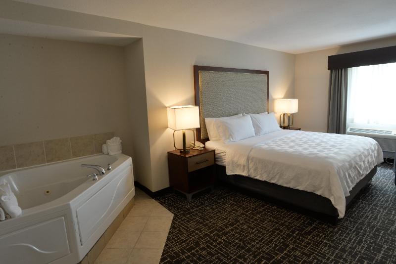 Holiday Inn Hotel and Suites Minneapolis Lakeville image