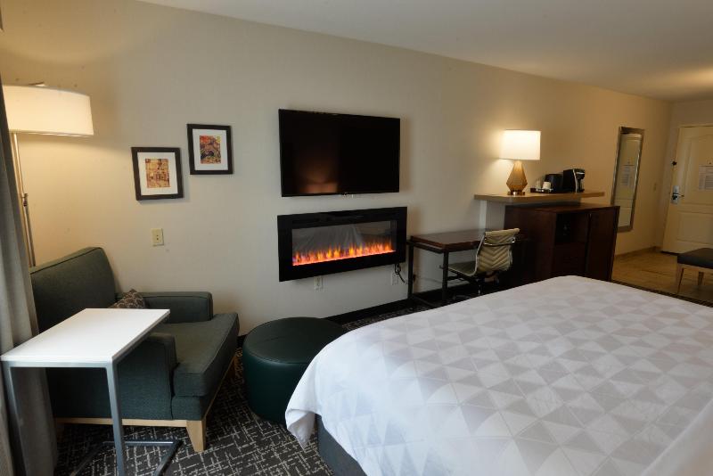 Holiday Inn Hotel and Suites Minneapolis Lakeville image