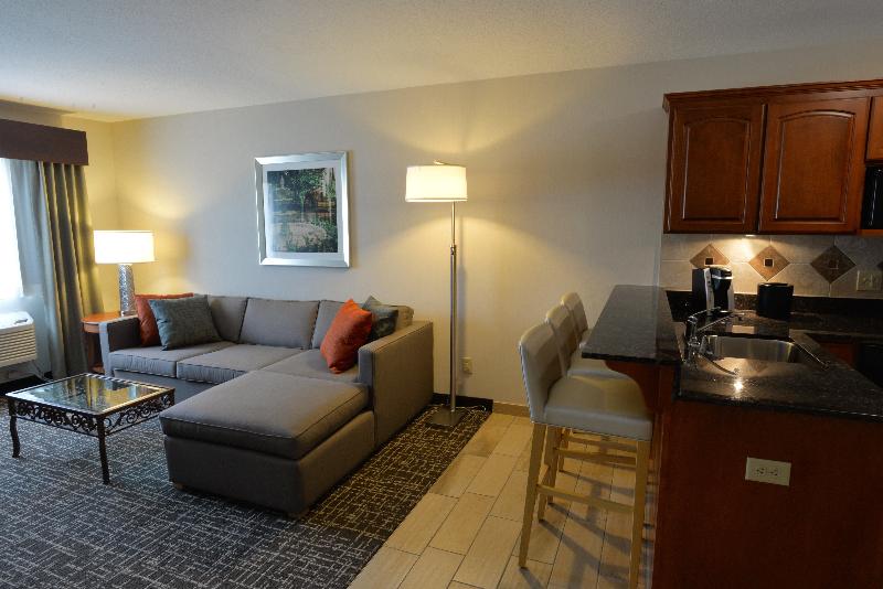 Holiday Inn Hotel and Suites Minneapolis Lakeville image