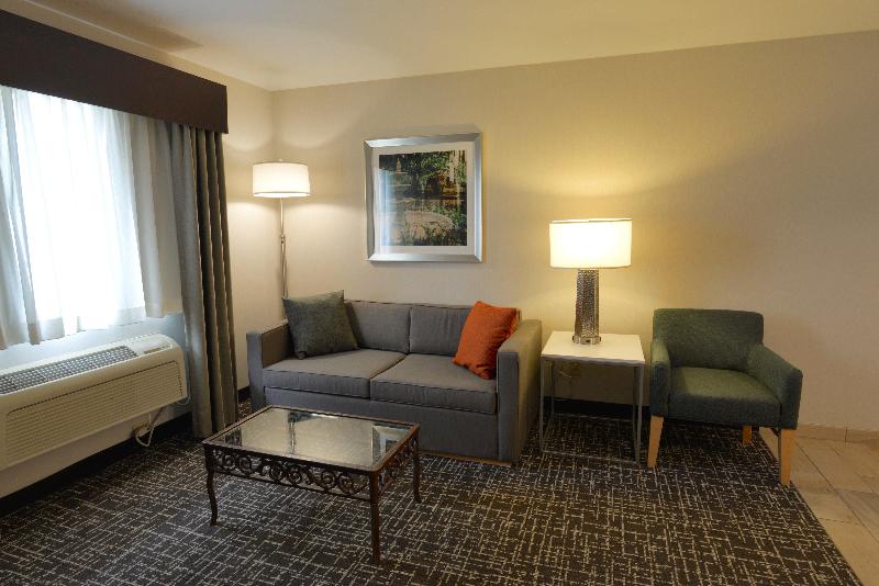 Holiday Inn Hotel and Suites Minneapolis Lakeville image