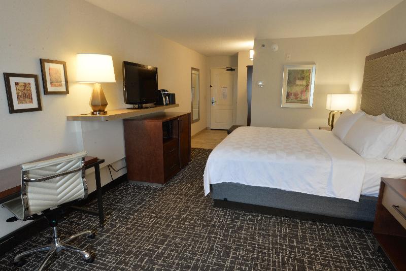 Holiday Inn Hotel and Suites Minneapolis Lakeville image